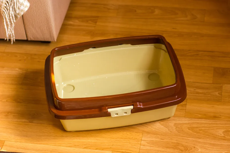 empty cat litterbox