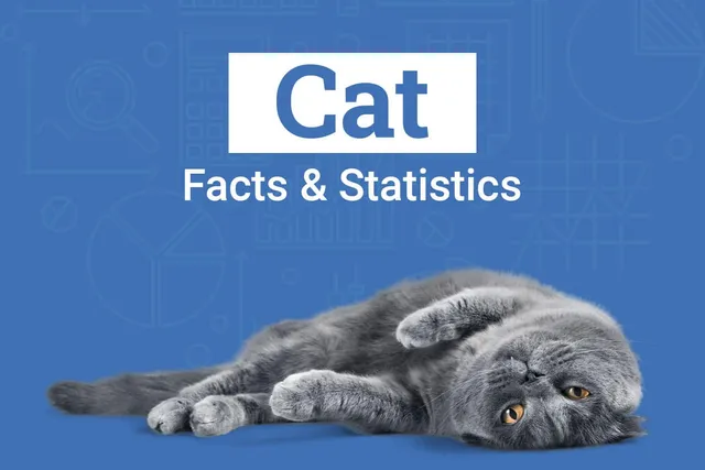 15 Cat Statistics & Facts All Cat Lovers Should Know (Vet-Verified 2026 Update)