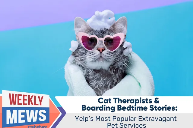 Cat Therapists & Boarding Bedtime Stories: Yelp's Most Popular Extravagant Pet Services