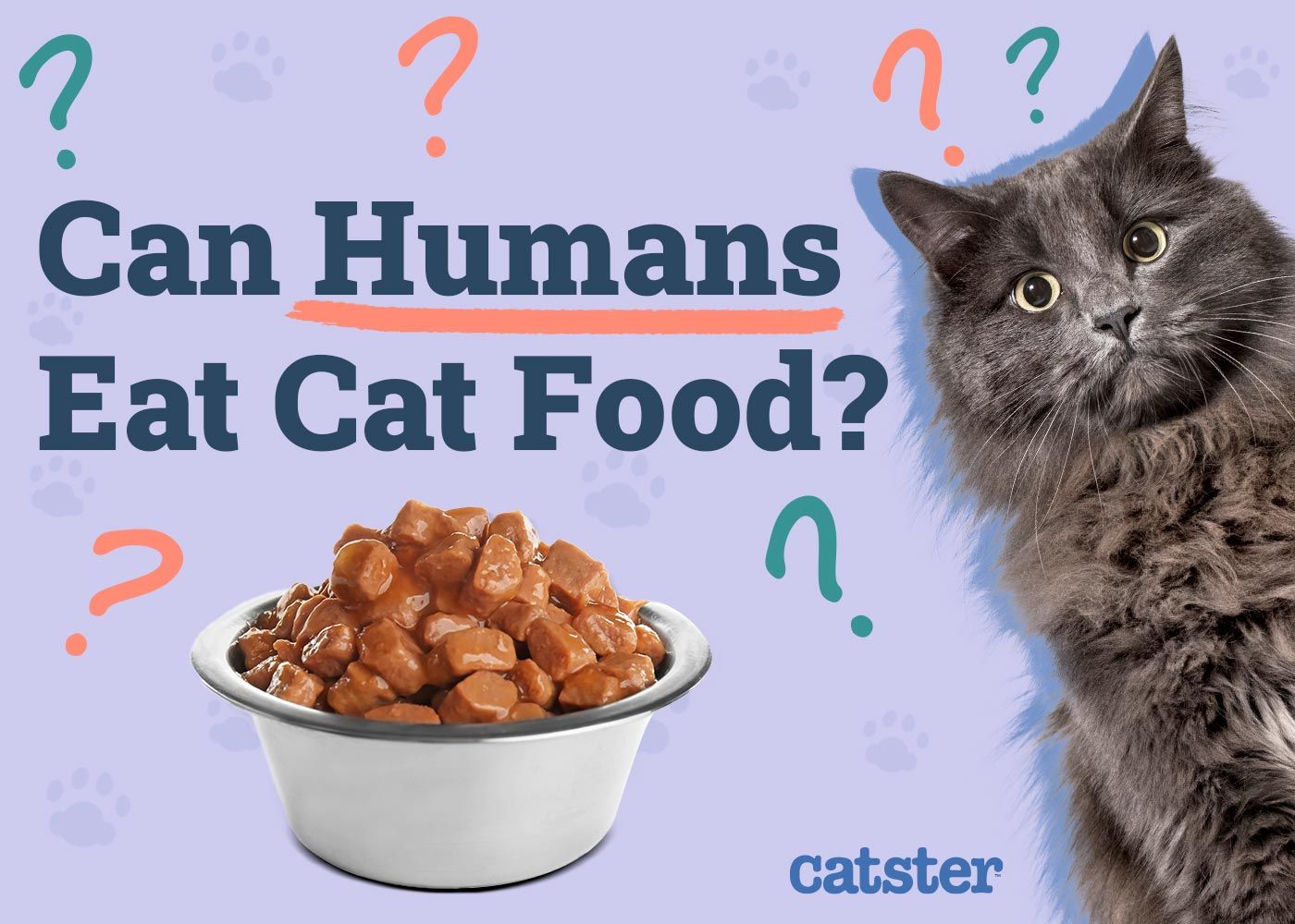 Can Humans Eat Cat Food