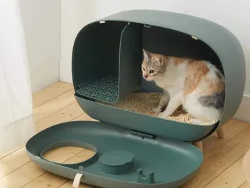 7 Best Modern Cat Litter Boxes That Look Great in Your Home in 2026 - Reviews & Top Picks