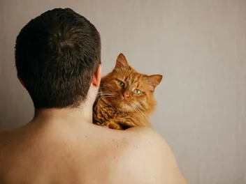 Can My Cat Tell When I'm Naked? Here's What They Think