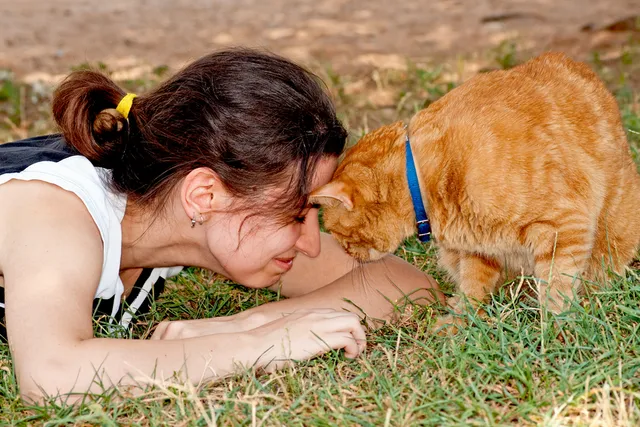 Why Does My Cat Headbutt Me? 4 Vet-Reviewed Reasons for This Behavior