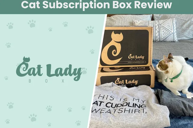CatLadyBox Subscription Review 2026: A Detailed Look
