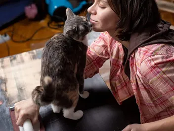 Can Cats Smell Other Cats on You? Does This Make Them Jealous?