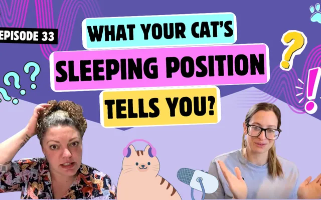 Chatting About Sleeping Positions, Loafing & Cats in Tubes | Chatty Cattys, Episode 33