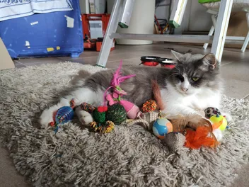 6 DIY Fun Fleece Toys for Cats To Make At Home Today