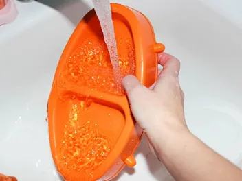 How Often Should You Wash a Cat's Food & Water Bowls? Vet-Approved Advice