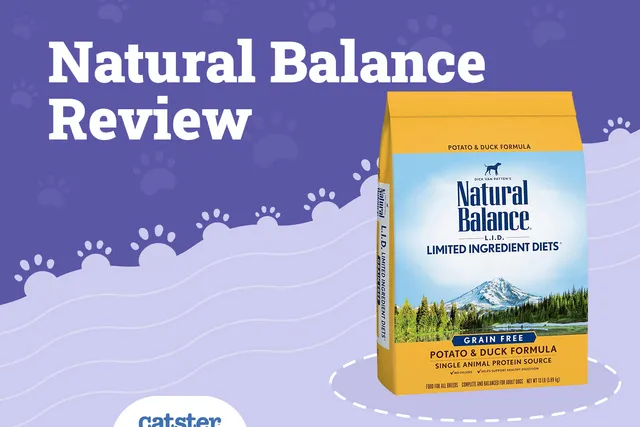 Natural Balance Cat Food Review in 2026: Recalls, Pros & Cons