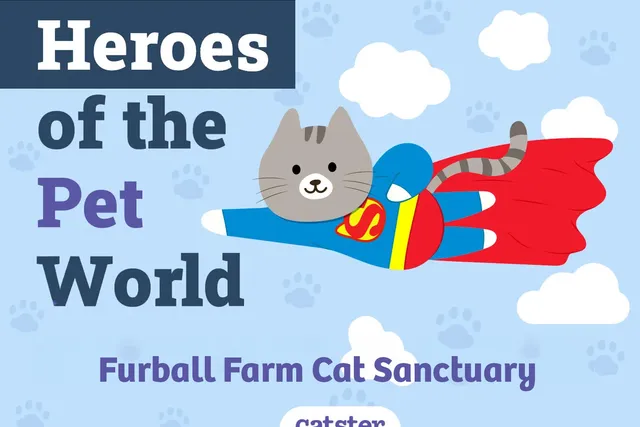 Furball Farm Cat Sanctuary | Heroes of The Pet World