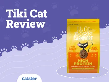 Tiki Cat - Cat Food Review of 2026: Recalls, Pros & Cons