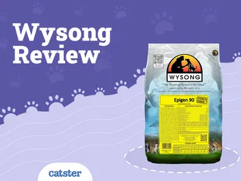 Wysong Cat Food Review of 2026: Recalls, Pros & Cons