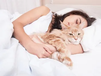 I’m Dreaming About My Cat: The Meaning Behind This