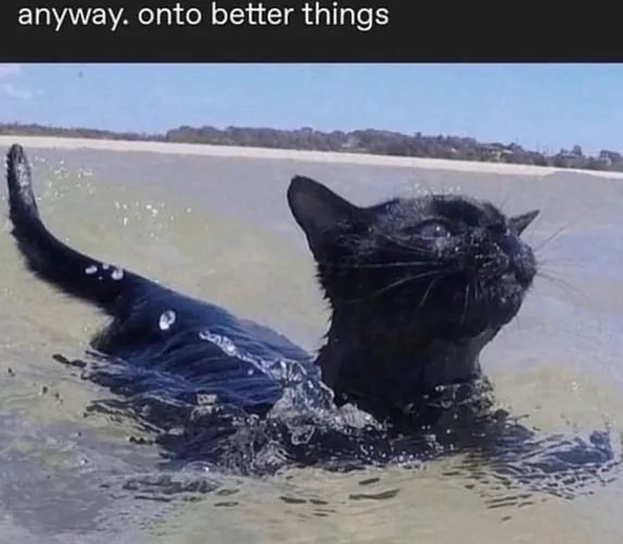 Move It Along