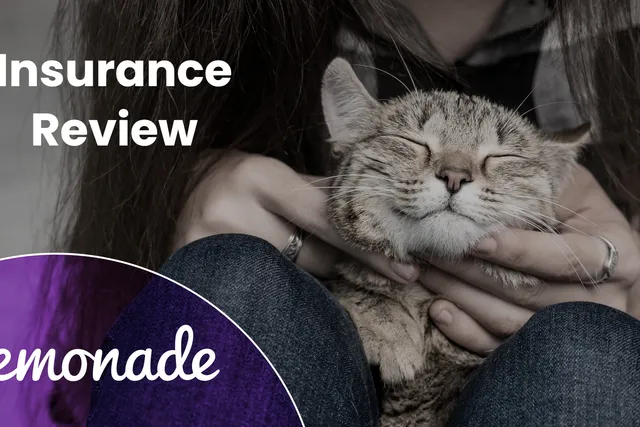 Lemonade Pet Insurance Review 2026: A Detailed Look