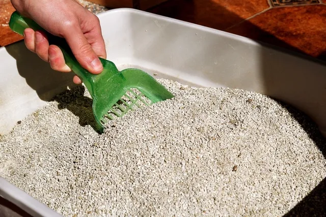 Cat Litter Safety: A Vet-Approved Guide