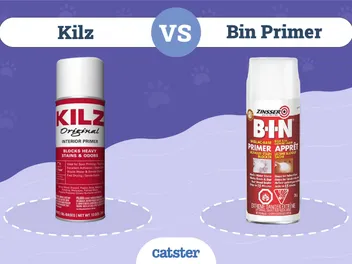 Kilz vs. Bin Primer for Cat Urine: 2026 Comparison