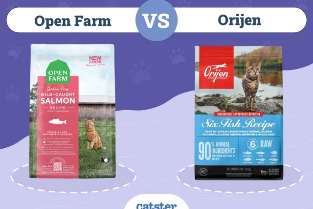 Open Farm vs Orijen Cat Food: 2026 Comparison, Ingredients, Price & More
