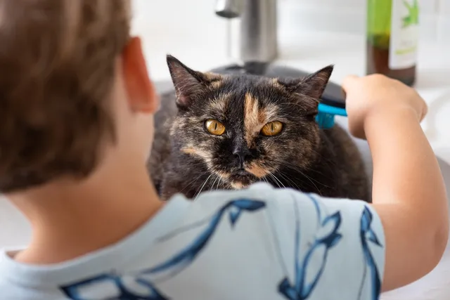How to Help a Child Grieve the Loss of a Pet: 10 Tips to Overcome Sadness