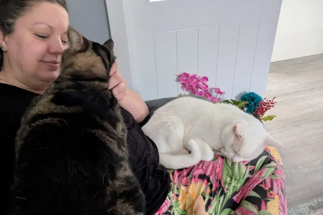 What Cat Paralysis?! Dr. Karyn's Lap Lovers