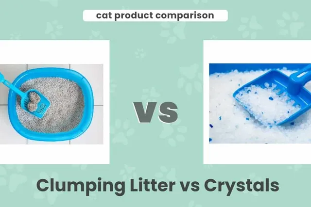 Clumping Litter vs Crystals: Which One Is Better? Our 2026 Comparison
