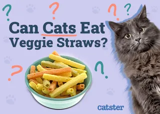Can Cats Eat Veggie Straws? Vet-Verified Facts & FAQ