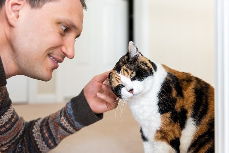 young man rubbing cats ears