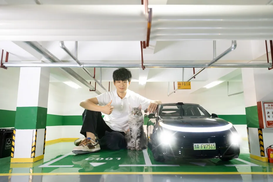 You need somewhere to park your cat car-1