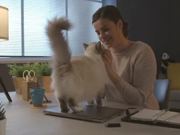 Why Do Cats Lift Their Tail When Petted? 4 Vet-Reviewed Reasons