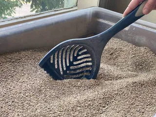 How to Dispose of Cat Litter Without Plastic Bags: 6 Vet-Verified Tips & Tricks