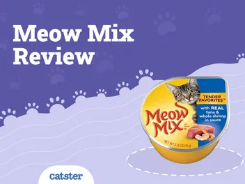 Meow Mix Cat Food Review of 2026: Recalls, Pros & Cons