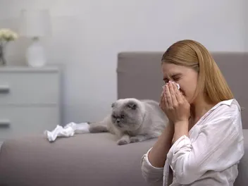 Can You Be Allergic to Cats But Not Dogs? Vet-Approved Facts & Explanation