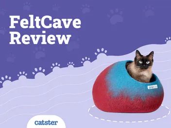Feltcave Cat Bed Review 2026: Pros, Cons & Final Verdict