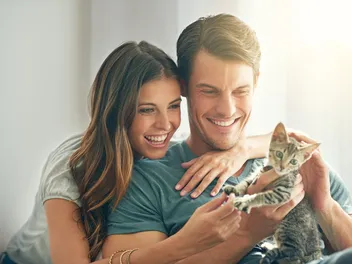 4 Top Cat Dating Websites to Find the Purrfect Partner in 2026