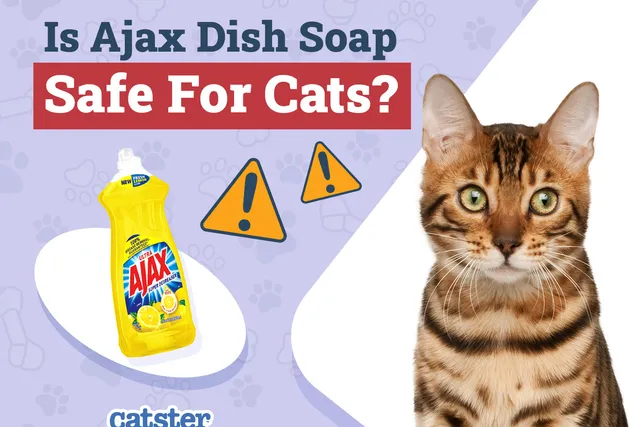 Is Ajax Dish Soap Safe for Cats? Recommendations & Alternatives