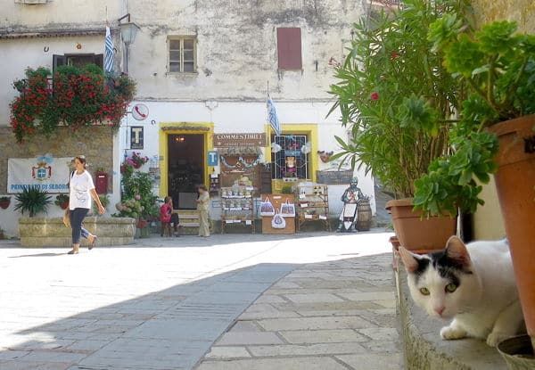 Welcome to Seborga: A Small Mediterranean Nation of Cats