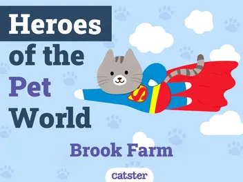 Brook Farm Veterinary Center | Heroes of The Pet World