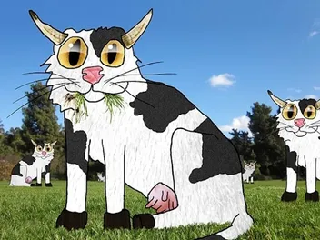 Alternative Rock Icon David Yow Creates Cat Pun Illustrations