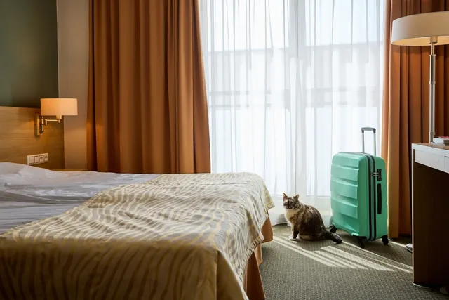 10 Pet-Friendly Hotels in Pigeon Forge, Tennessee (2026 Update)