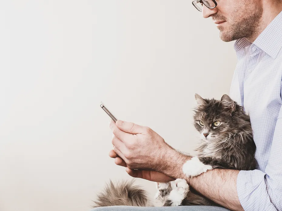 Man on his phone with a cat on his lap