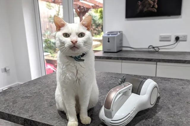 Clutch and the Vacuum: A Love Story (With Video)