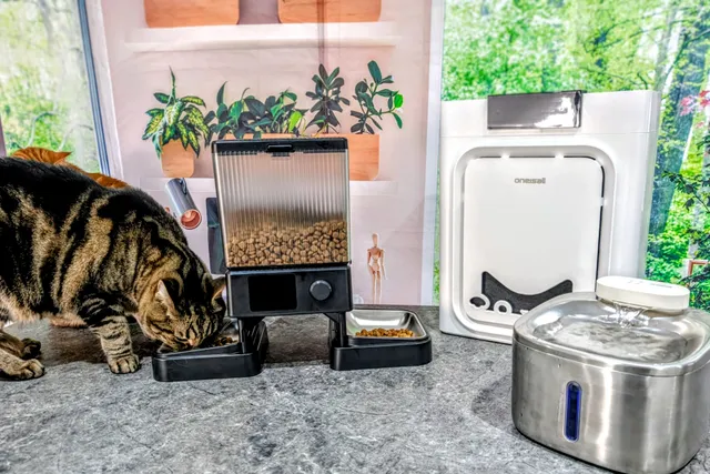 Oneisall Review 2026: Our Vet's Expert Opinion (Cat Water Fountain, Automatic Feeder & Air Purifier)