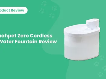 uahpet Zero Cordless Water Fountain Review 2026: Pros, Cons, & Verdict
