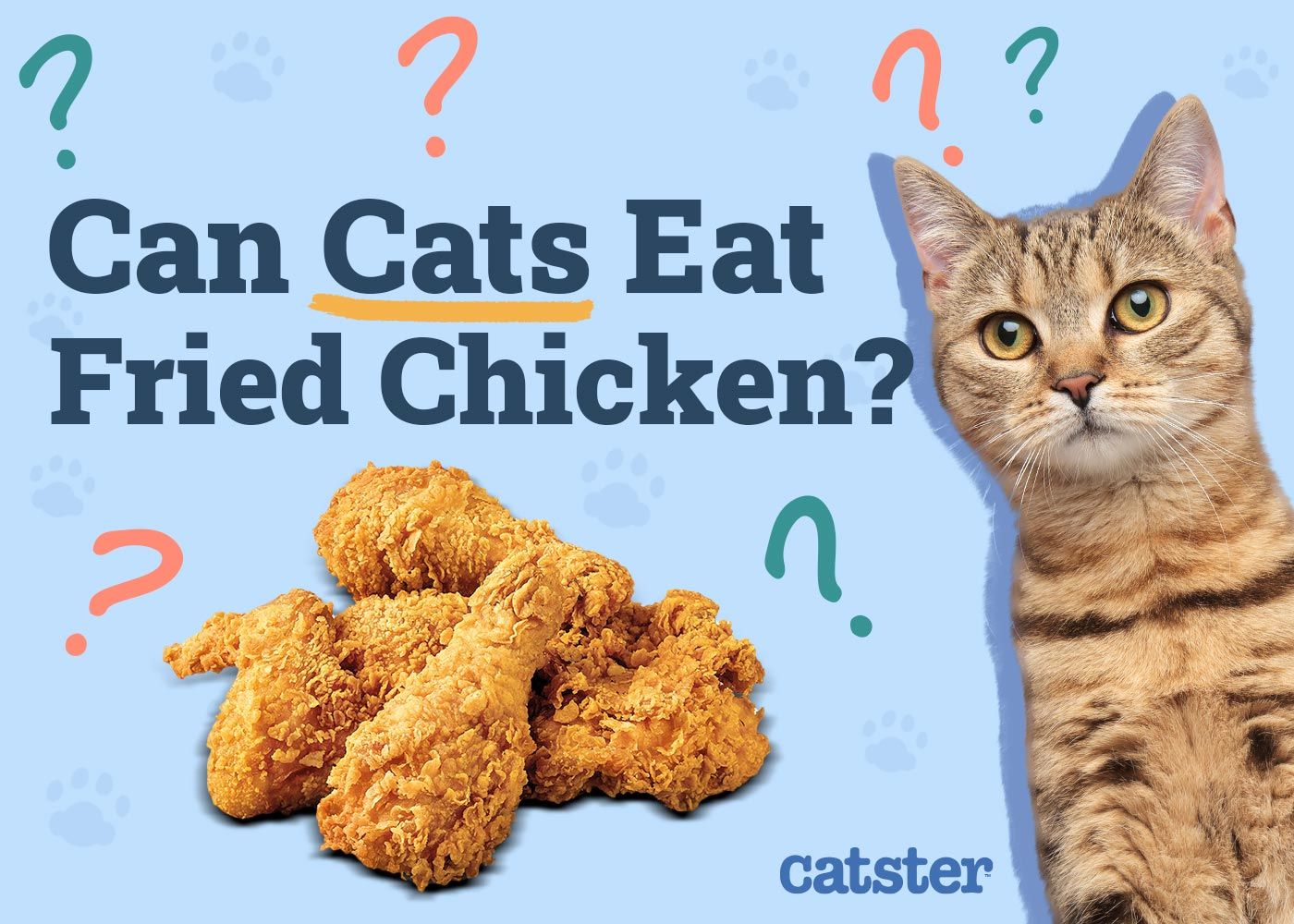 Can Cats Eat Fried Chicken