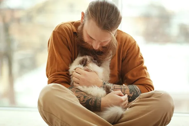 Why Do Cats Sit On You? 6 Vet-Reviewed Reasons