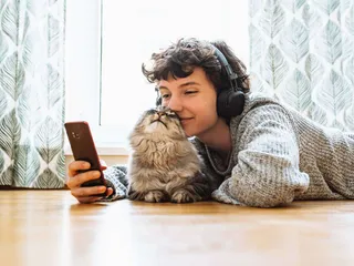 8 Cat Lovers Websites & Social Networks in 2026