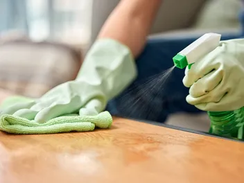 How to Get Rid of Cat Pee Smell: Tips for Every Surface