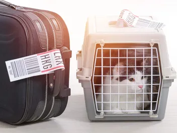 How to Get a Canadian Pet Passport in 2026: A Step-by-Step Guide