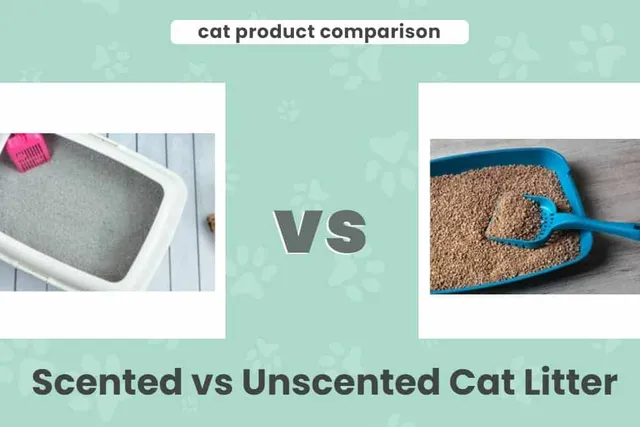 Scented vs Unscented Cat Litter: Our 2026 Comparison, Pros & Cons