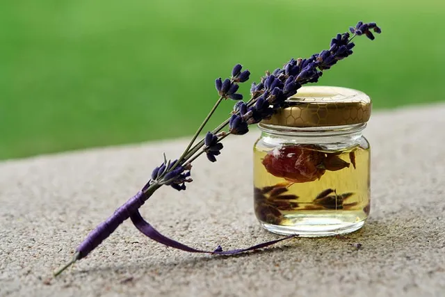 Does Lavender Oil Kill Fleas on Cats? Vet-Reviewed Effectiveness & Safety Explained